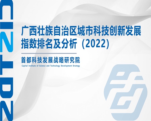 黄色日女人逼视频白水【成果发布】广西壮族自治区城市科技创新发展指数排名及分析（2022）